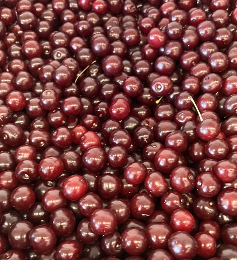 hunapfel_meggy